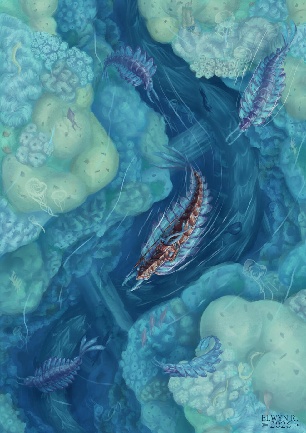 Anomalocaris Wanderer